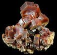 Ruby Red Vanadinite Crystals (Large Crystals) - Morocco #51303-1